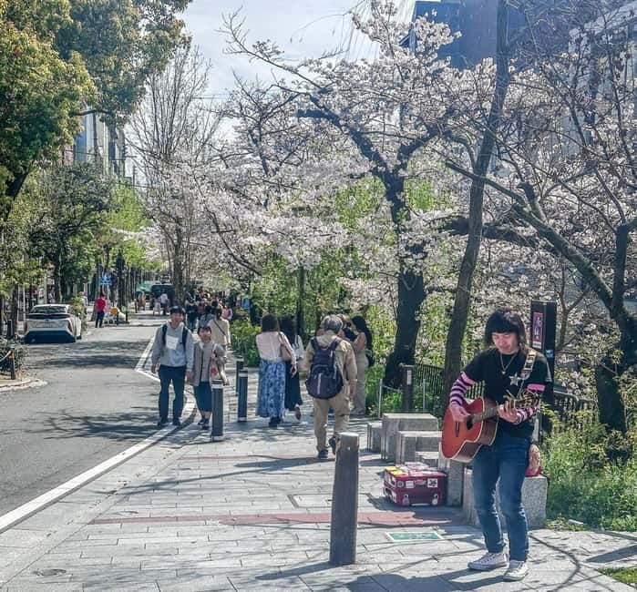 Osaka/Kyoto/Nara: Private Full-Day Sightseeing Tour - Arashiyama and the bamboo grove