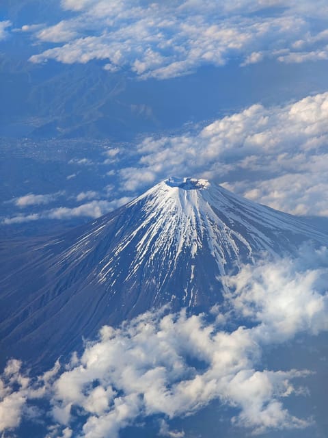 Osaka/Kyoto/Nara: Private Full-Day Sightseeing Tour