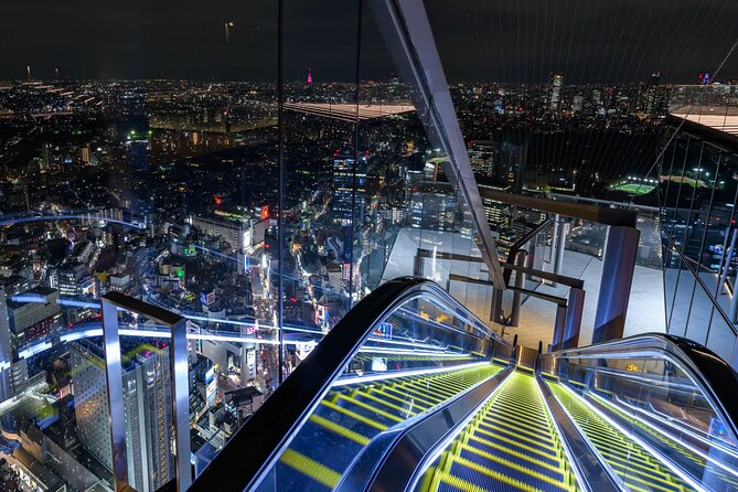 Private Airport transfer Haneda Airport(HND) to Tokyo City - Child seats and family travel