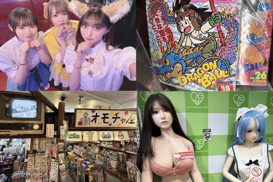 Private Akihabara Anime Game Maid Cafe Tour w/ free pickup - Key points at a glance