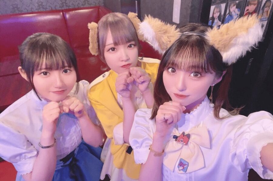 Private Akihabara Anime Game Maid Cafe Tour w/ free pickup - Finding the Akihabara that fits you