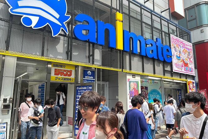Private Akihabara Anime Guided Walking Tour - What the Guides Add