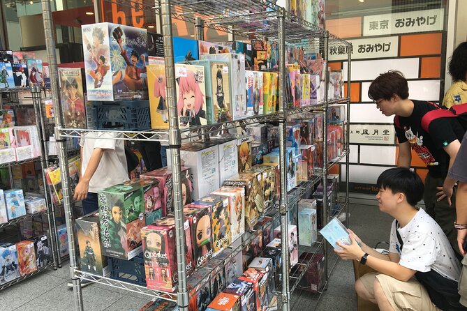 Private Akihabara Anime Guided Walking Tour - Is $227.63 Per Person a Fair Price?