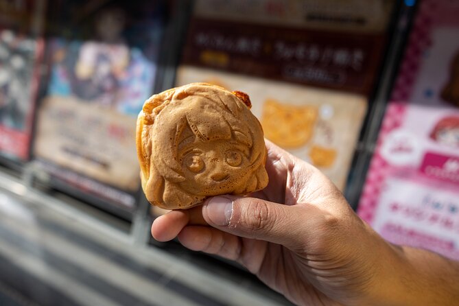 Private Akihabara anime Tour(walking Tour with photography) - Akihabara GiGO for Japanese arcade culture