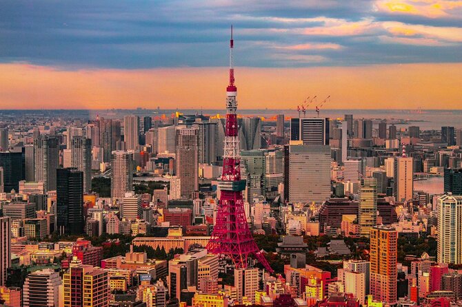 Private and Customisable Tokyo Tour with English Driver-guide - Key points at a glance