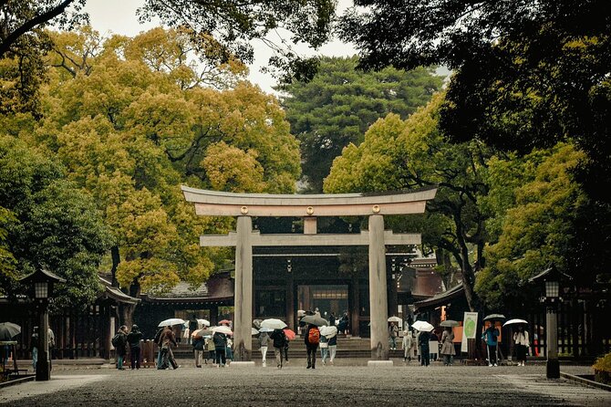 Private and Customisable Tokyo Tour with English Driver-guide - Ginza and Tokyo Station: polished central Tokyo