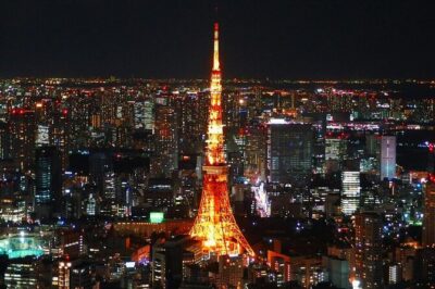 Private and Customisable Tokyo Tour with English Driver-guide - Ueno Park and the Imperial Palace
