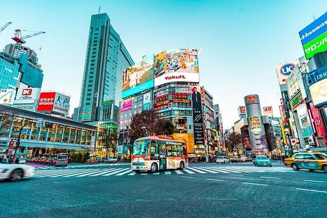 Private and Customisable Tokyo Tour with English Driver-guide - Odaiba and the Tokyo Bay view