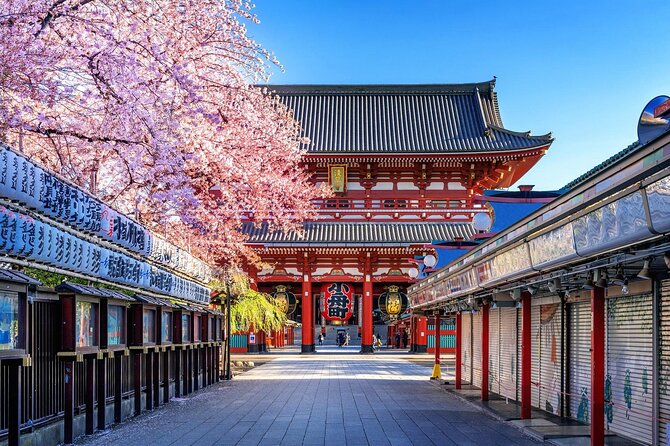 Private and Customisable Tokyo Tour with English Driver-guide - Harajuku, Meiji Shrine, and Shibuya Crossing