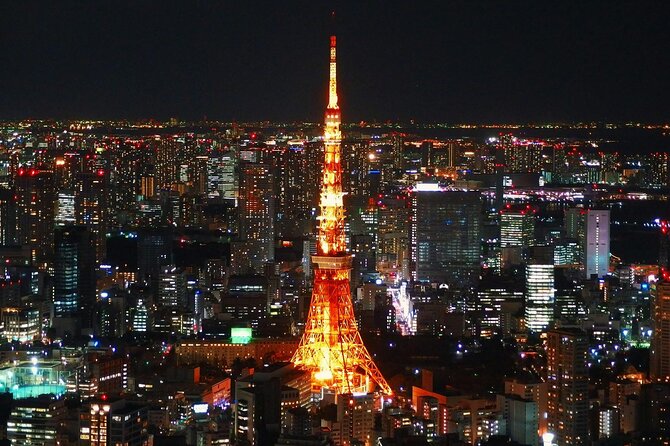 Private and Customisable Tokyo Tour with English Driver-guide