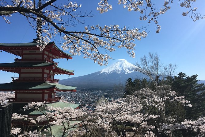 Private Car Mt Fuji and Gotemba Outlet in One Day from Tokyo - The Mt. Fuji World Heritage Center and the Panoramic Ropeway