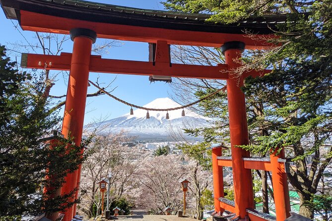 Private Car Mt Fuji and Gotemba Outlet in One Day from Tokyo - Oshino Hakkai and Fuji’s shrine tradition