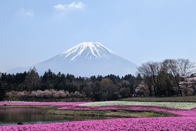 Private Car Mt Fuji and Gotemba Outlet in One Day from Tokyo - Gotemba Premium Outlets and the shopping trade-off