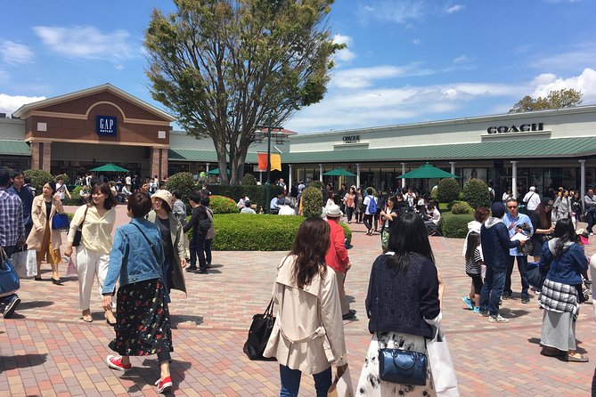 Private Car Mt Fuji and Gotemba Outlet in One Day from Tokyo - The fifth station, caves, and the wider Fuji area