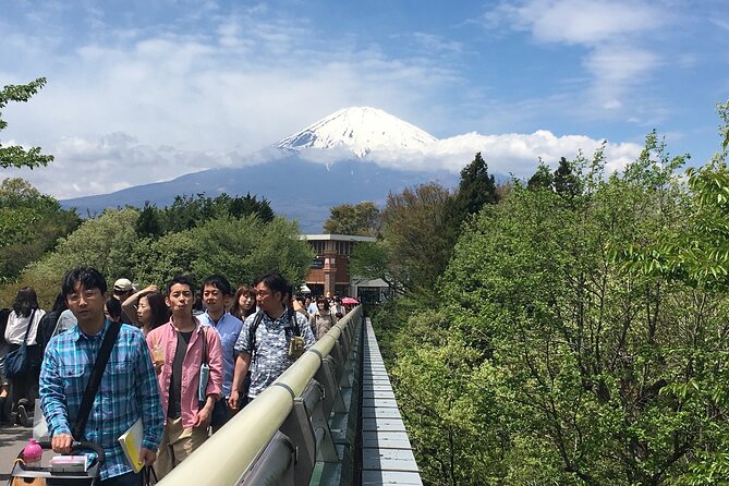 Private Car Mt Fuji and Gotemba Outlet in One Day from Tokyo - Guides, vehicles, and what the service feels like