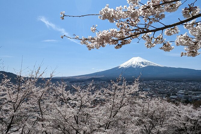 Private Car Tour to Mt. Fuji Lake Kawaguchiko or Hakone - Key points at a glance
