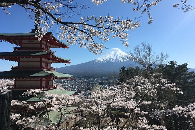 Private Car Tour to Mt. Fuji Lake Kawaguchiko or Hakone - Lake Kawaguchiko, Oishi Park, and local flavor