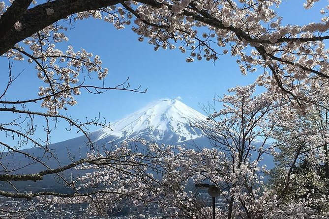 Private Car Tour to Mt. Fuji Lake Kawaguchiko or Hakone - Traditional houses at Saiko Iyashi no Sato Nemba