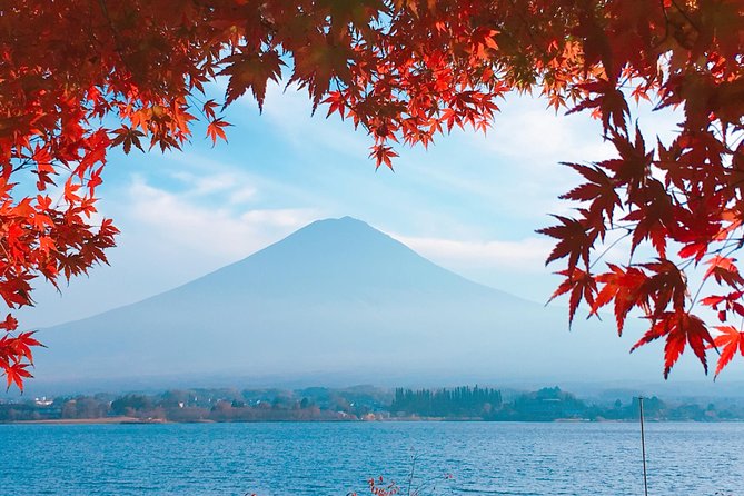 Private Car Tour to Mt. Fuji Lake Kawaguchiko or Hakone - Aokigahara’s lava caves