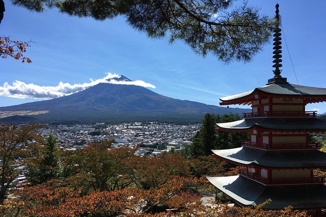 Private Car Tour to Mt. Fuji Lake Kawaguchiko or Hakone - The Mt. Fuji Panoramic Ropeway and higher views