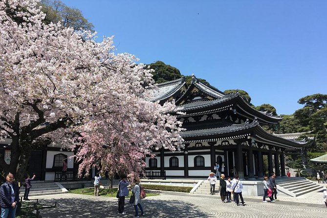 Private Car Tour to see Highlights of Kamakura, Enoshima, Yokohama from Tokyo - Chinatown, instant noodles, or an all-ramen finish