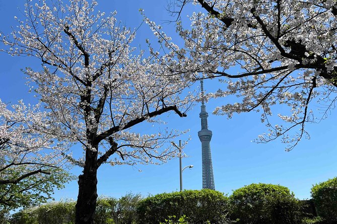 Private Custom Tour in Tokyo with a Bilingual Japanese Guide - Key points to know before booking