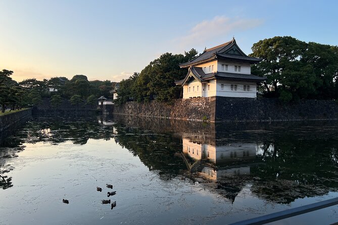 Private Custom Tour in Tokyo with a Bilingual Japanese Guide - A private way to get your bearings in Tokyo