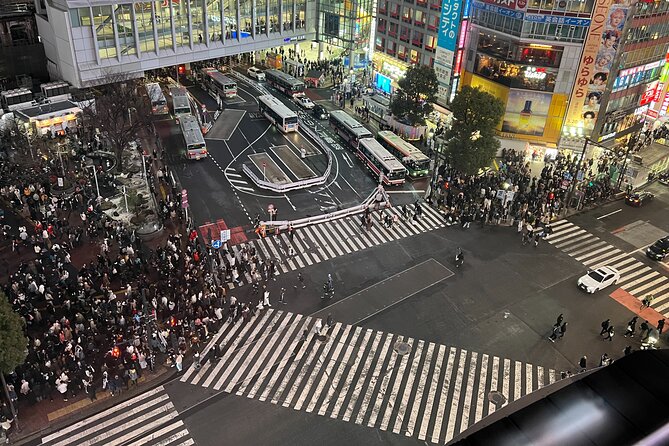 Private Custom Tour in Tokyo with a Bilingual Japanese Guide - What the $112.75 price really buys you