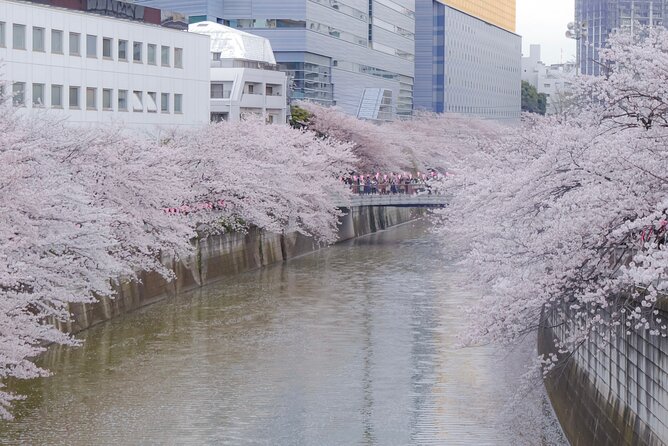 Private Custom Tour: Tokyo in a Day - Meiji Shrine, Harajuku, and Takeshita Street