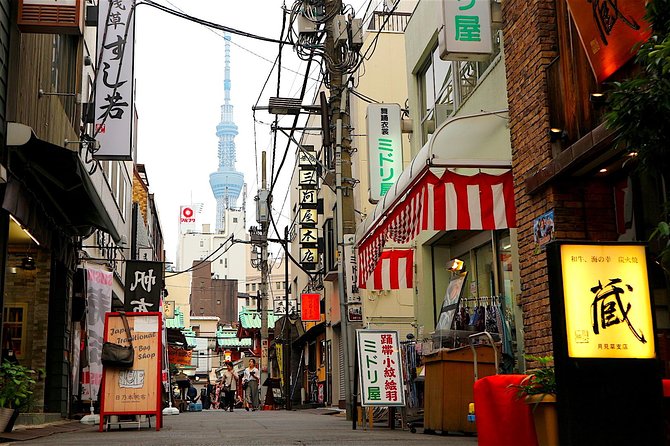 Private Customizable Walking Tour of Tokyo - Akihabara for anime, games, and electronics