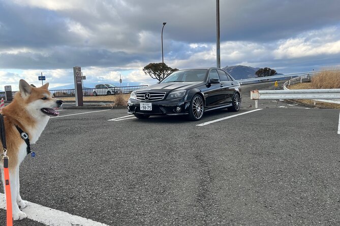 Private Daikoku Parking Area, Hakone turn Pike, Umihotaru Tours - Why Daikoku Parking Area is the draw