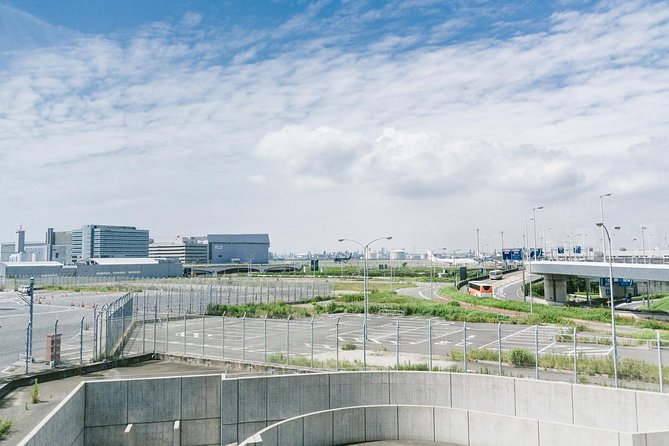 Private Departure Transfer : Tokyo Disney to Haneda International Airport - Who should book this transfer