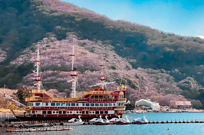Private Fuji Hakone Tour Charter with English Speaking Driver - Why a private car helps on the Tokyo to Hakone run