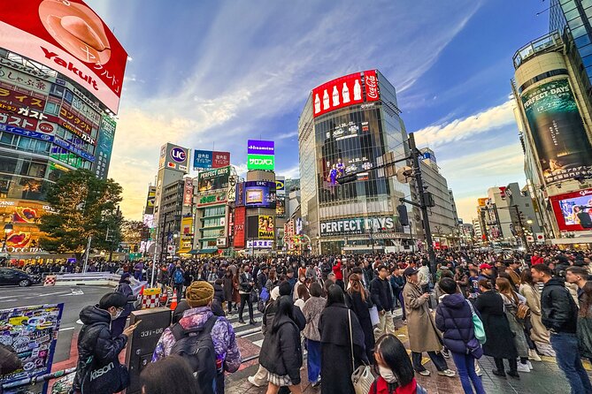 Private Full-day Tokyo Walking Subway Tour by Japan Gray Line - Key points at a glance
