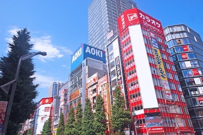 Private Full-Day Tour of Tokyo with Hotel Pickup - The guide makes the difference