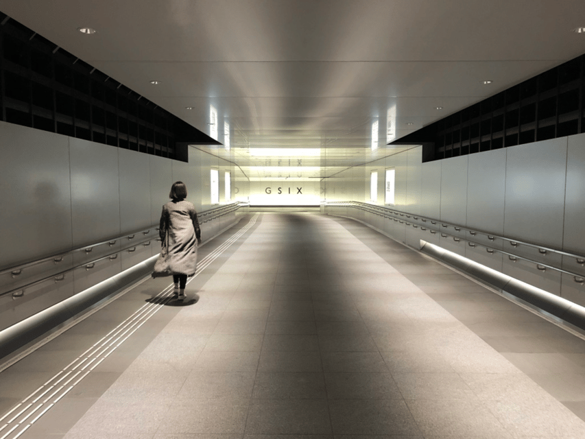 Private Ginza Architecture Tour - The Metabolism movement in central Tokyo