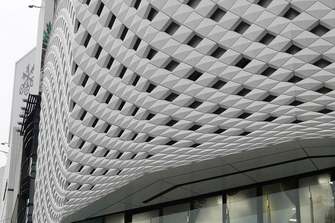 Private Ginza Architecture Walking Tour - Maison Hermes and the building as artwork