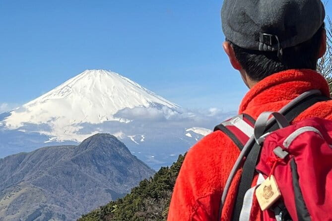 Private Hakone Half-day Car Tour with Hotel Pickup - Local Guide - Beer, wineries, and other optional stops