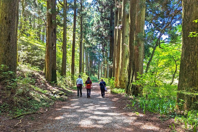 Private Hakone Tour - View of Mt. Fuji, Nature and Culture - Leaving Tokyo by bullet train