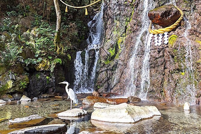 Private Hakone Tour - View of Mt. Fuji, Nature and Culture - Hakone Shrine and the red torii gate