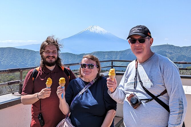 Private Hakone Tour - View of Mt. Fuji, Nature and Culture - Choosing between art and an onsen