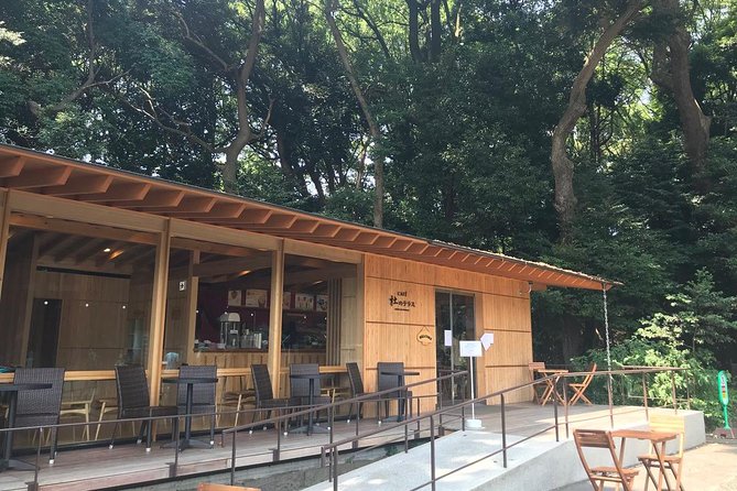 Private Harajuku Omotesando Architecture Walking Tour - Who should book this private Tokyo walk?