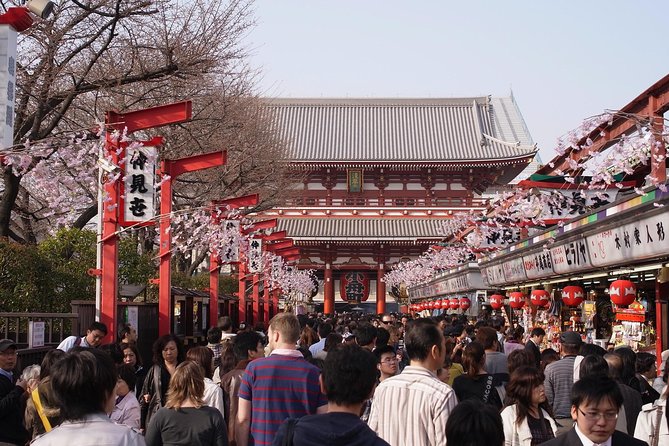 Private Japanese Sample Food Making and Asakusa History Tour - Is $172.66 per person fair?