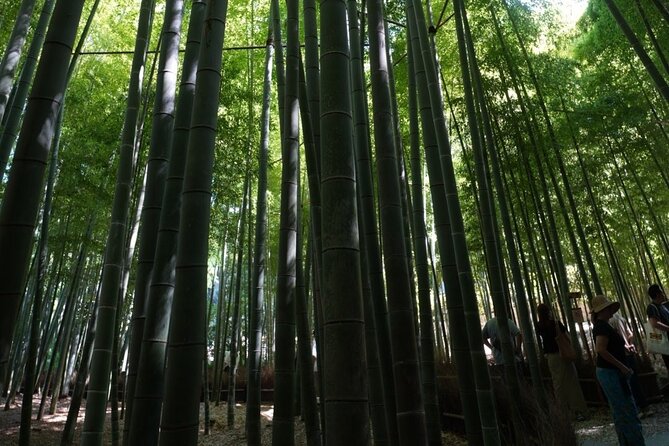 Private Kamakura Early Morning Tour (Tokyo Departure Available) - A quiet hour at Hokokuji’s bamboo grove