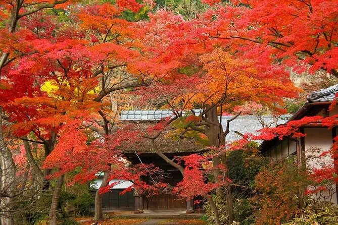 Private Kimono photo shooting tour in ancient city Kamakura - How the Private Format Changes the Day