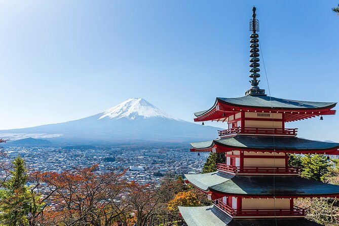 Private Mount Fuji and Hakone City Tour In luxury car from Tokyo - Guides and the human side of the day