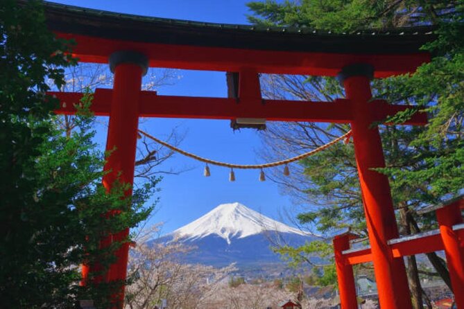 Private Mount Fuji Tour in Luxury Vehicle with English Guide - Oshino Hakkai, beautiful and heavily visited