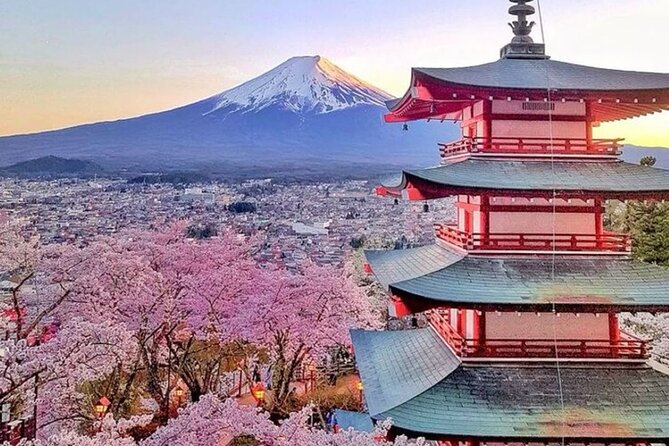 Private Mount Fuji Tour in Luxury Vehicle with English Guide - Oishi Park for lake and mountain views