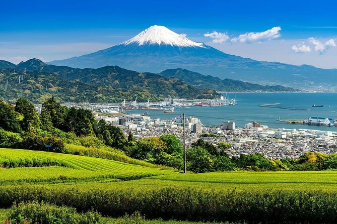 Private Mount Fuji Tour in Luxury Vehicle with English Guide - Owakudani Valley and Hakone’s volcanic ground