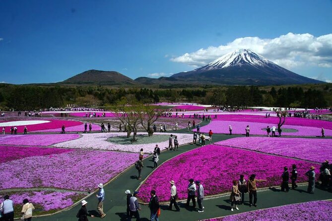 Private Mount Fuji Tour in Luxury Vehicle with English Guide - Arakurayama Sengen Park and the Chureito Pagoda